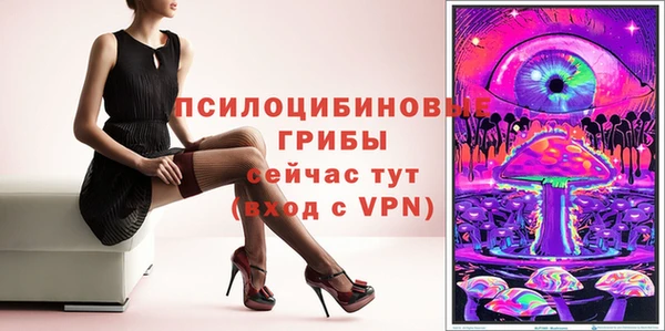 сатива Абдулино