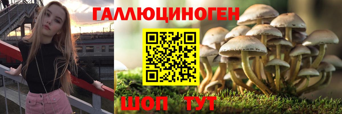 Галлюциногенные грибы GOLDEN TEACHER Челябинск